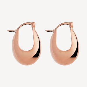 Najo Cloudland Rose Gold Plated Earrings #25117